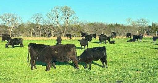Oklahoma prairie landscape